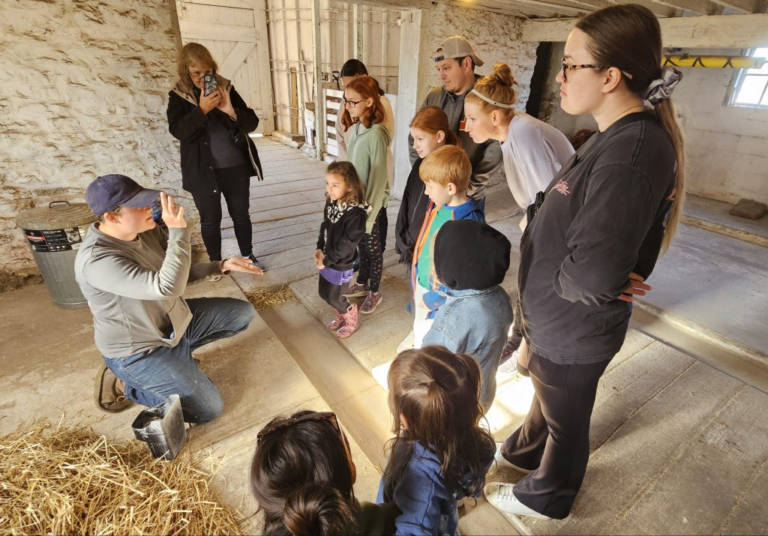 Program in Kane County gives participants look at farm life
