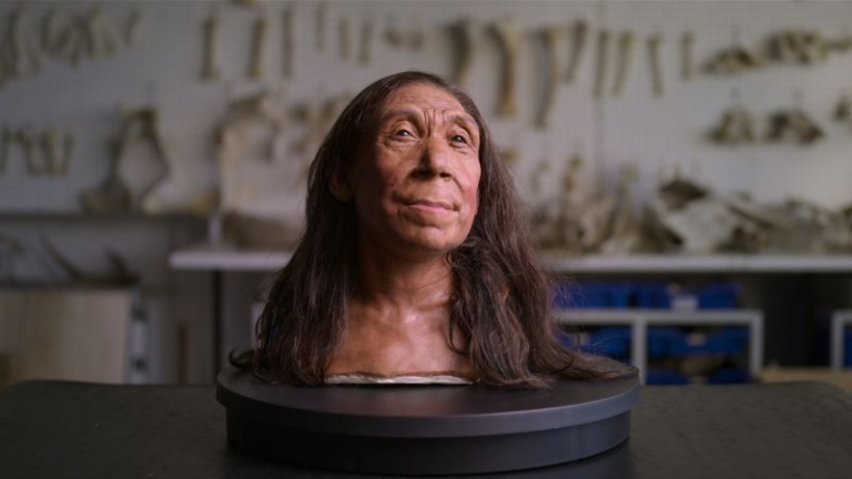 Reconstruction reveals face of Neanderthal specimen Shanidar Z