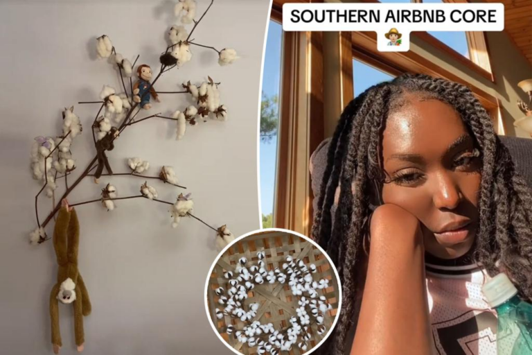 TikTok user gets Airbnb listing banned for racist décor