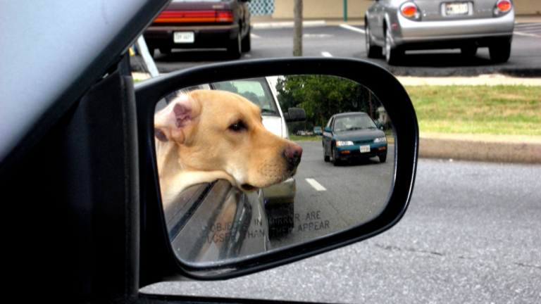 What’s the perfect roadtrip playlist?