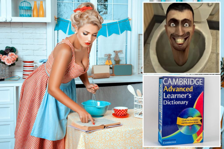 Cambridge Dictionary ripped for adding nonsense slang term ‘skibidi’ to its database: ‘English is no longer a language’
