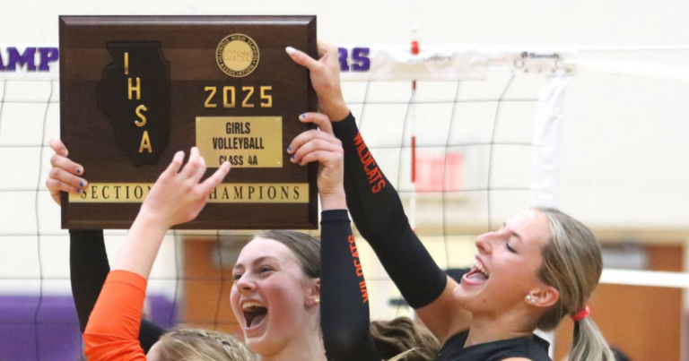 Claire Evans leads Libertyville to 4A sectional title win over Hampshire