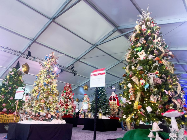 South Bay Hospital Lights Up Season With Dozens Of Decorated Holiday Trees