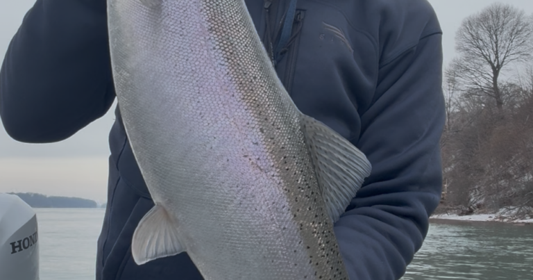 Scattershot: How many deer hunters used crossbows in 2025?