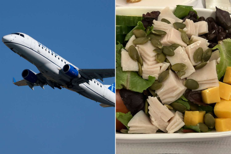 Class United Passenger’s Complaint About ‘Bowl of Sadness’ Salad Goes Viral