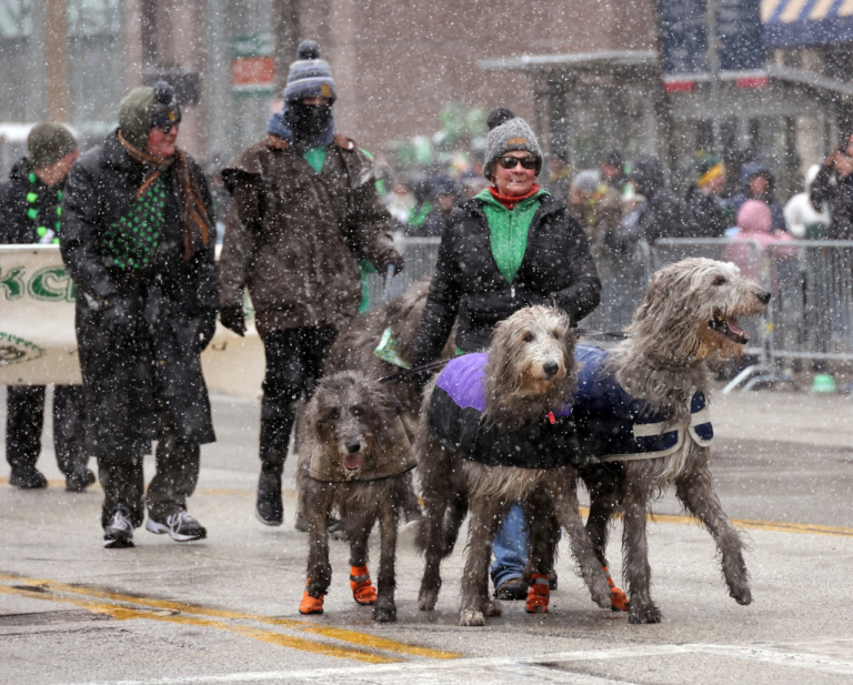 Cleveland St. Patrick’s Day Parade braves bitter cold weather