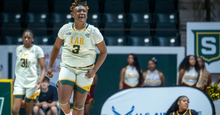 Baton Rouge schools featured on all state basketball team
